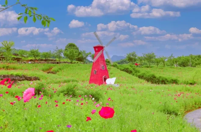 09b0640cd192f96ec09d7e038f44d9c2-sz_737029 09b0640cd192f96ec09d7e038f44d9c2-sz_737029