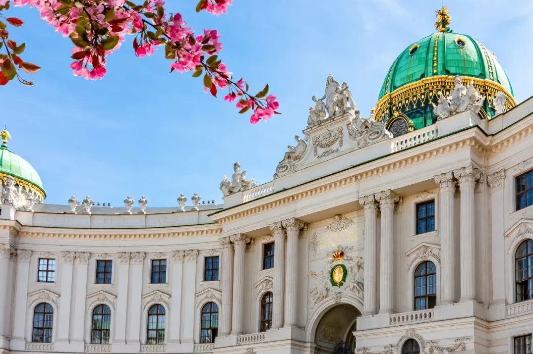 09d02585b490d45498346c371ac62f94-sz_454233