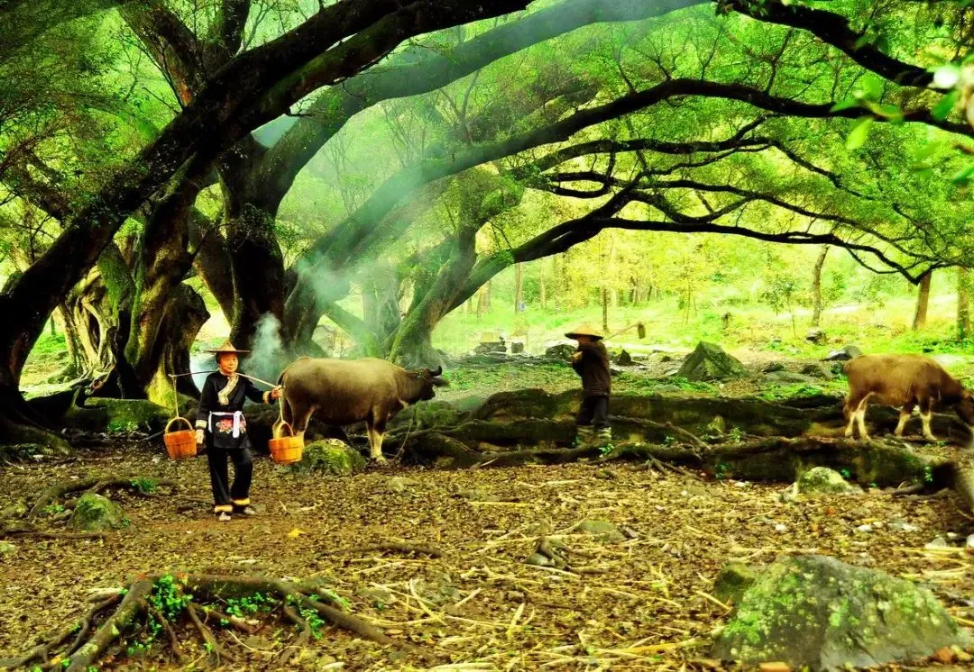 0a03561f9f84f76d491614ec8064e8fe-sz_263500 0a03561f9f84f76d491614ec8064e8fe-sz_263500