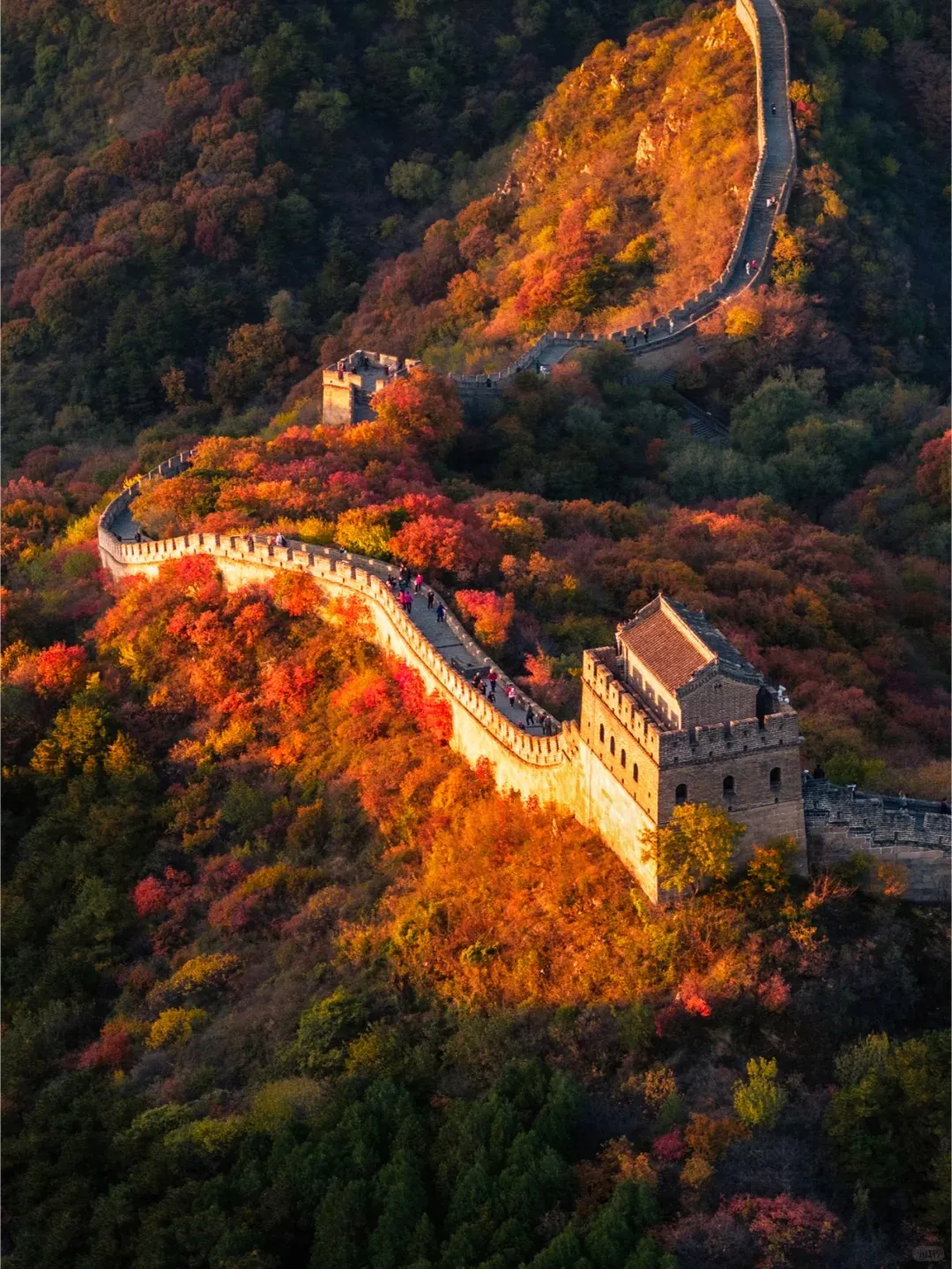 0a0e493a2b9538e91c9452466d3b26b6-sz_493041