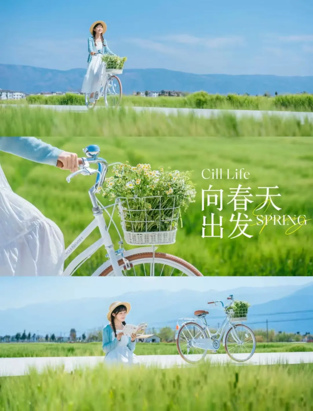 0a293b9a0024ace35e0f59520fbfb0fe-sz_186339