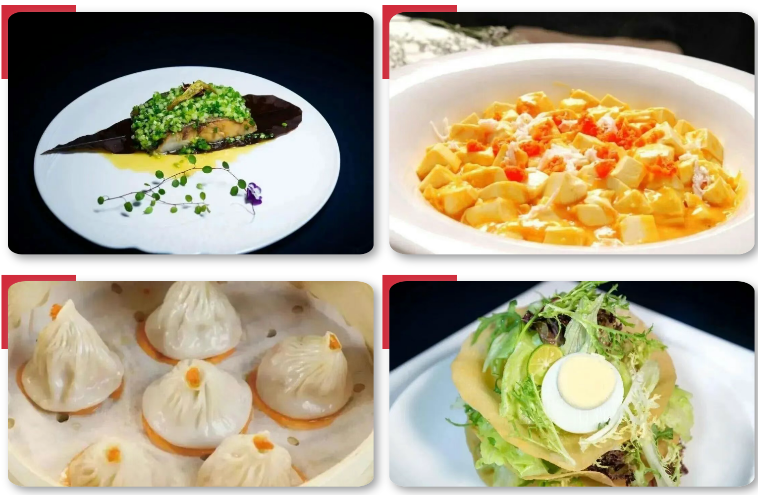 0a37827cb8a2549a36cb15fee017dbd1 0a37827cb8a2549a36cb15fee017dbd1