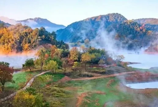 0a3f3222dc9ef60e1e0e9794fe17cf98-sz_434165