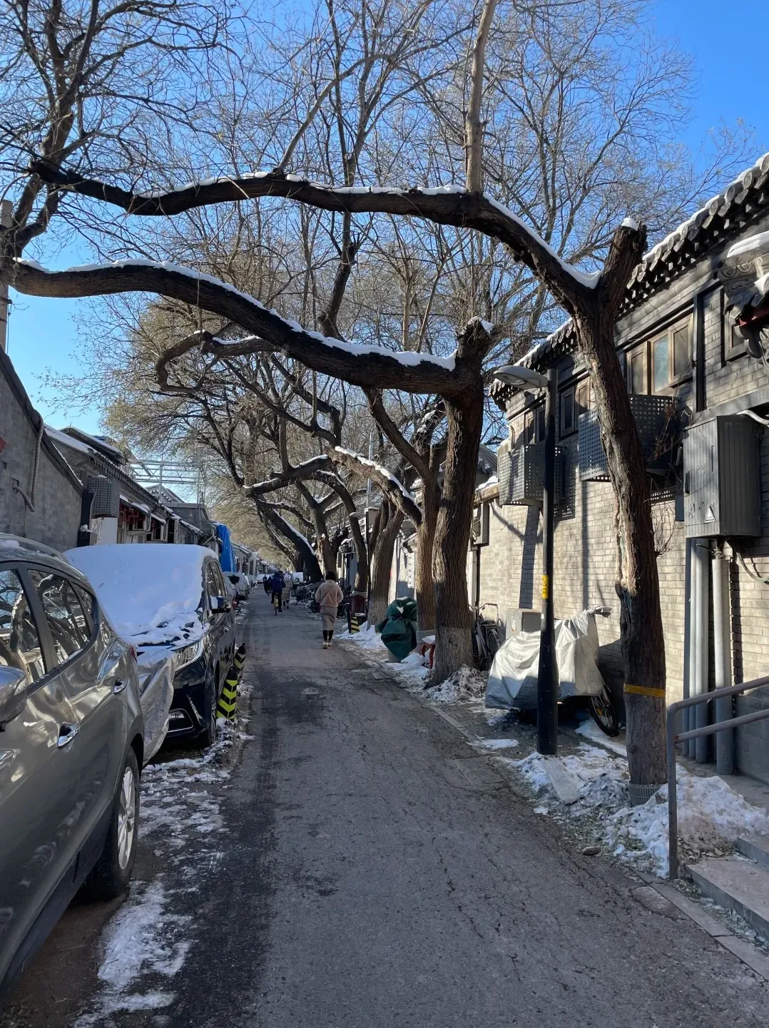 0a7f0160a6d683ec2865c0b2f6d12294-sz_741709-4