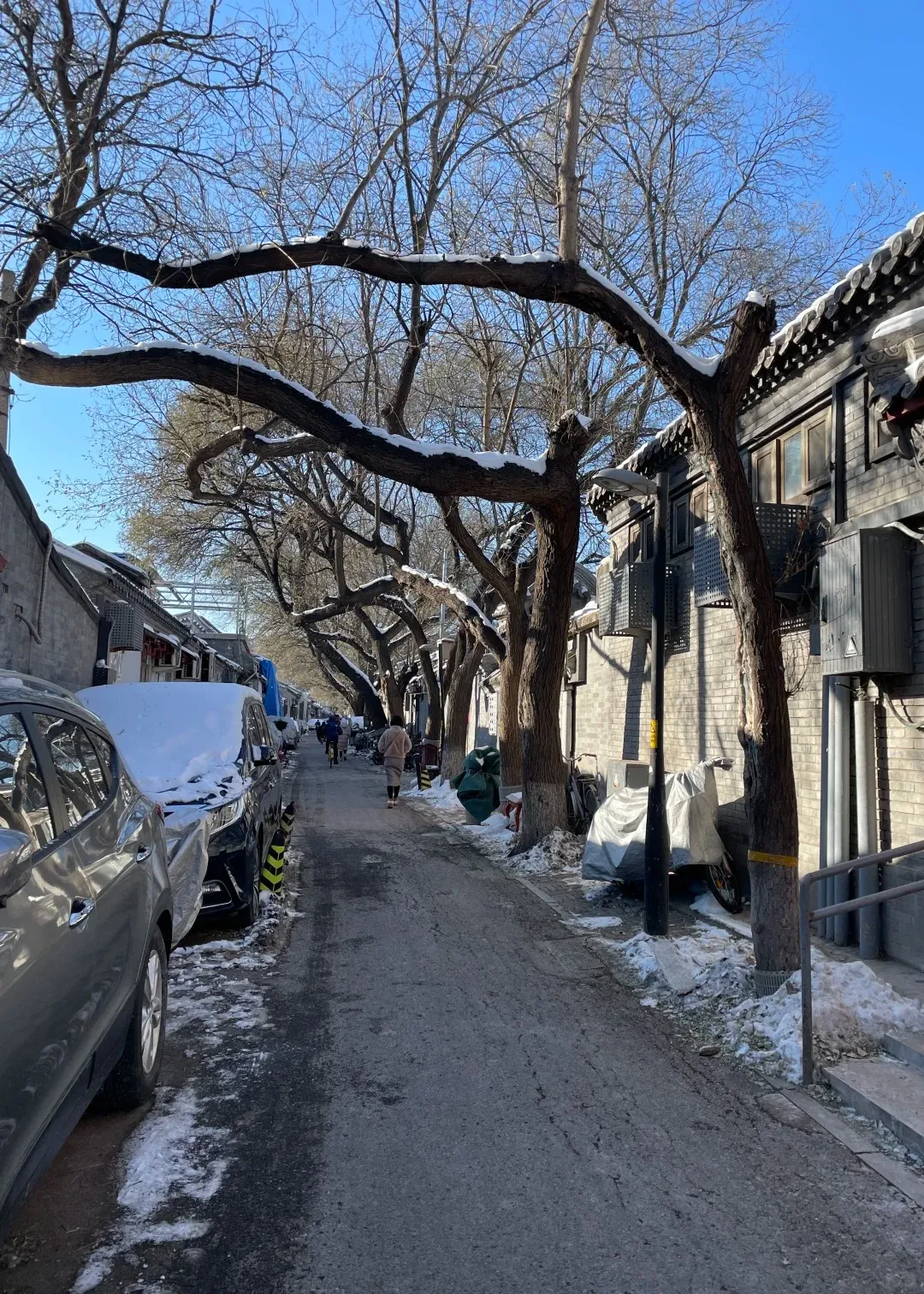 0a7f0160a6d683ec2865c0b2f6d12294-sz_741709 0a7f0160a6d683ec2865c0b2f6d12294-sz_741709