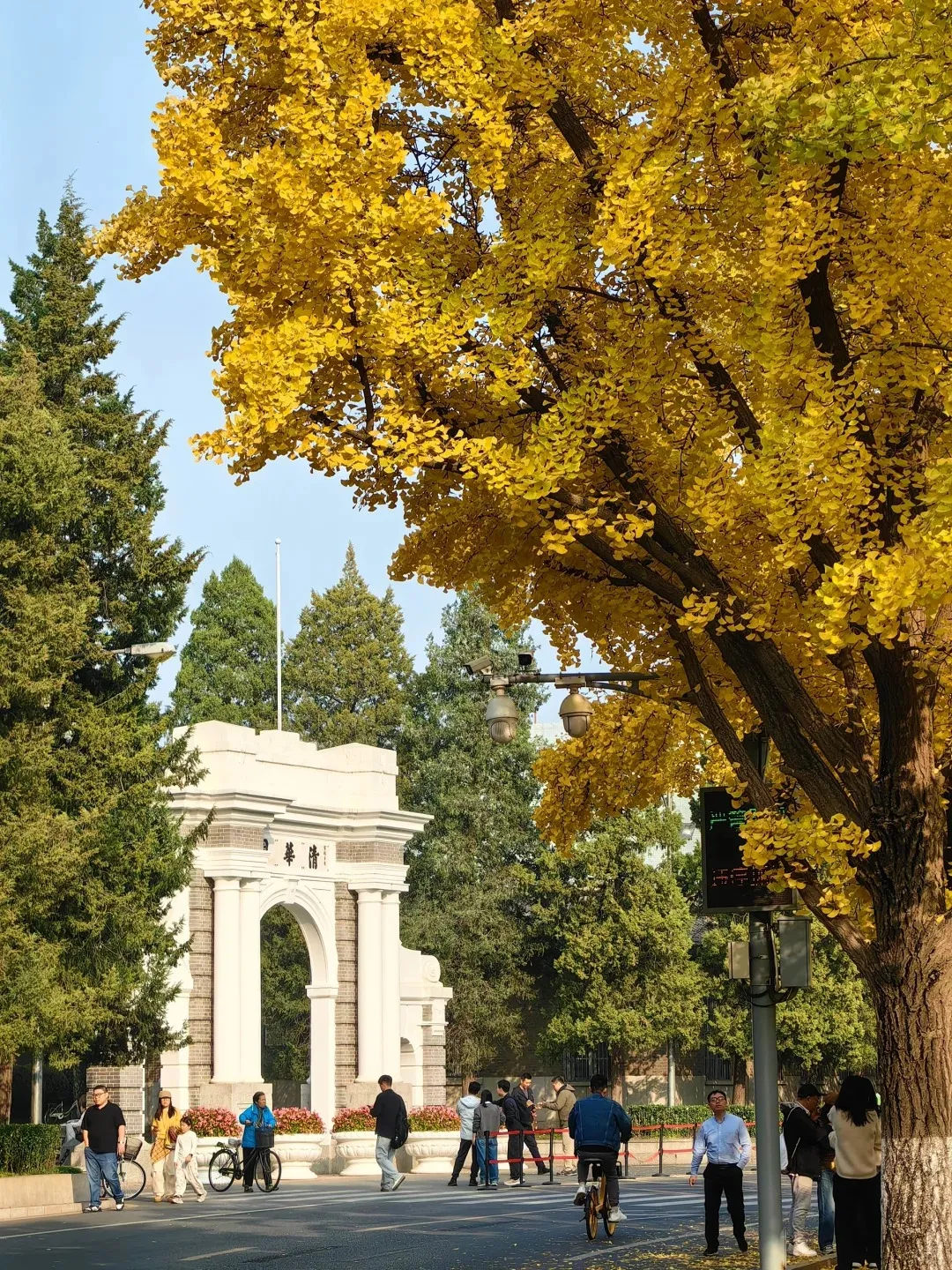 0a8cb6383fd885402ca7dadc971db44b-sz_837081 0a8cb6383fd885402ca7dadc971db44b-sz_837081