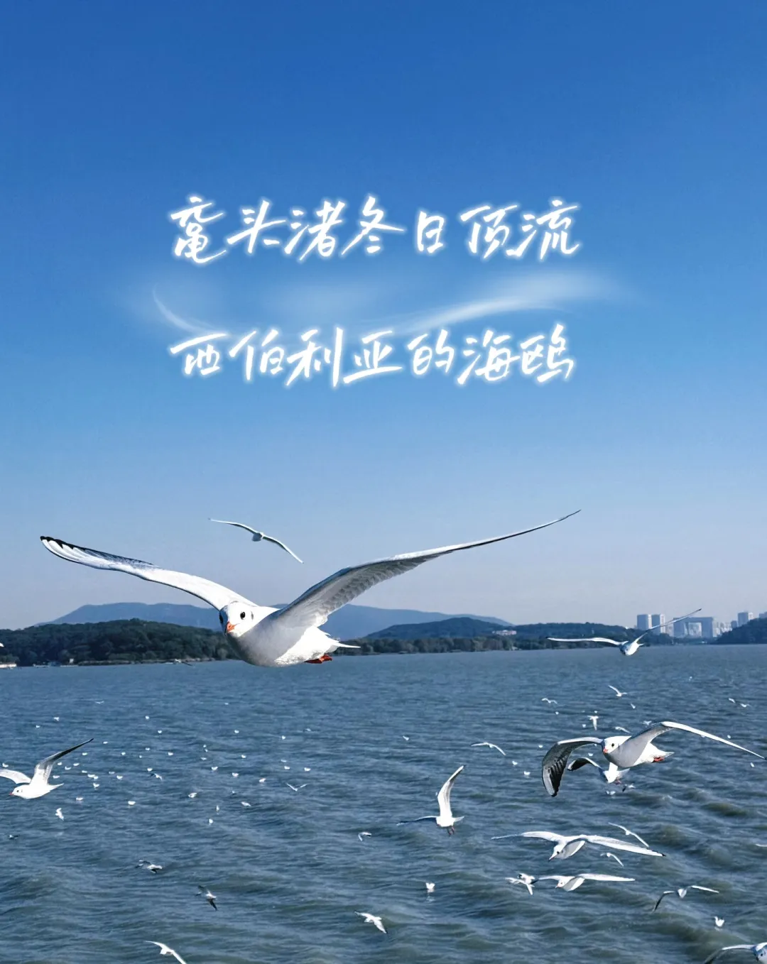 0a92c3d67c154e4f285025b94f2e785e-sz_1258482-3