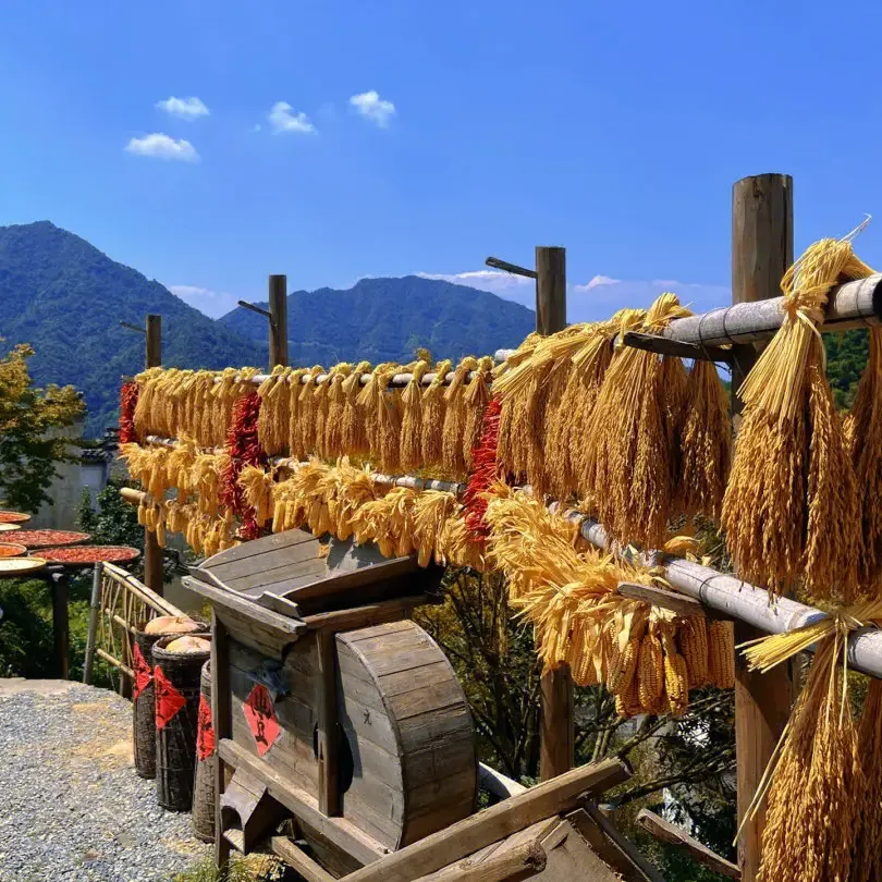 0a9a6f9a0de492a45b29b686449ba2bc-sz_1956756 0a9a6f9a0de492a45b29b686449ba2bc-sz_1956756