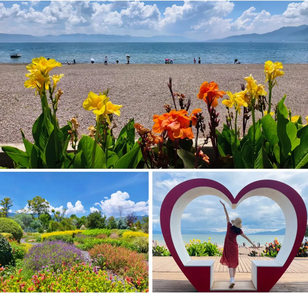 0aaeb2b509a7817fc51966717c081210-sz_455054 0aaeb2b509a7817fc51966717c081210-sz_455054