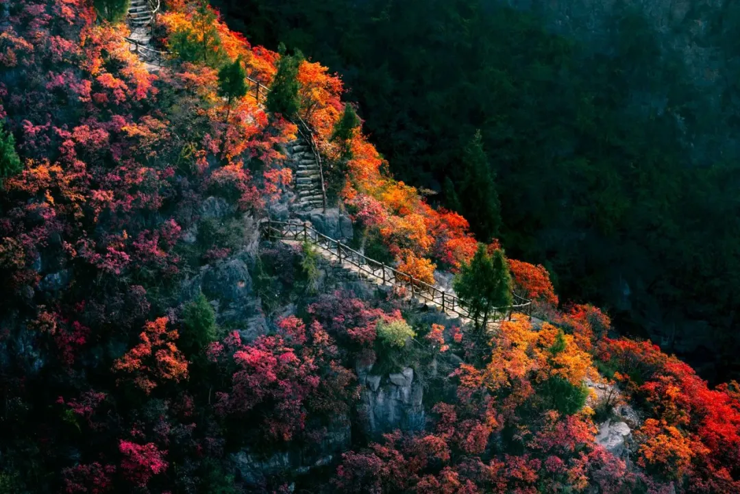 0ab51552837816b80a32a16486c36b2b-sz_261521 0ab51552837816b80a32a16486c36b2b-sz_261521