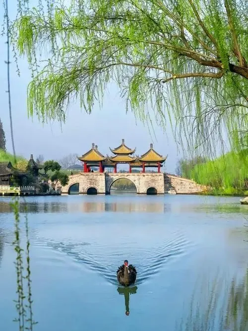 0ab98983e27fc00ffe20f0fe8f703e08-sz_81665 0ab98983e27fc00ffe20f0fe8f703e08-sz_81665