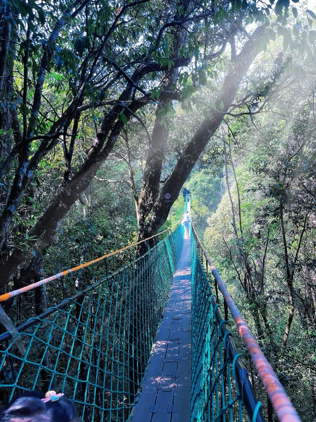 0b032d2f2a8a27813af54e19735e9efc-sz_5327019