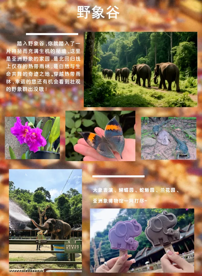 0b06a841709d6e95f165ecfc63f696b9-sz_1782149