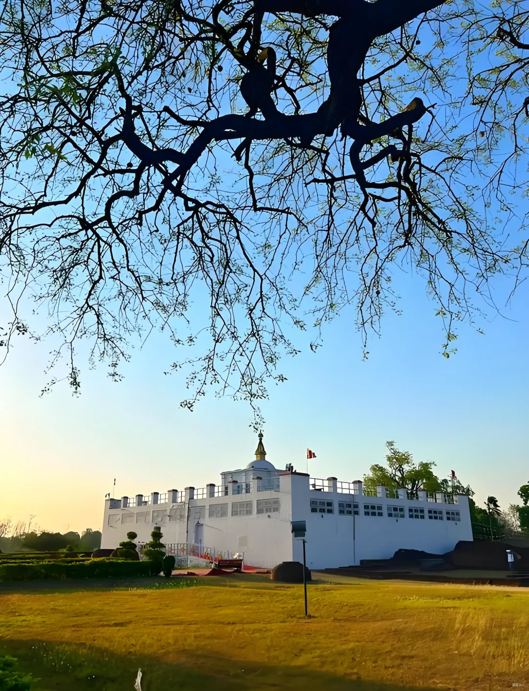 0b43302fa023f15e944be6b88ef7b60e-sz_6750271 0b43302fa023f15e944be6b88ef7b60e-sz_6750271