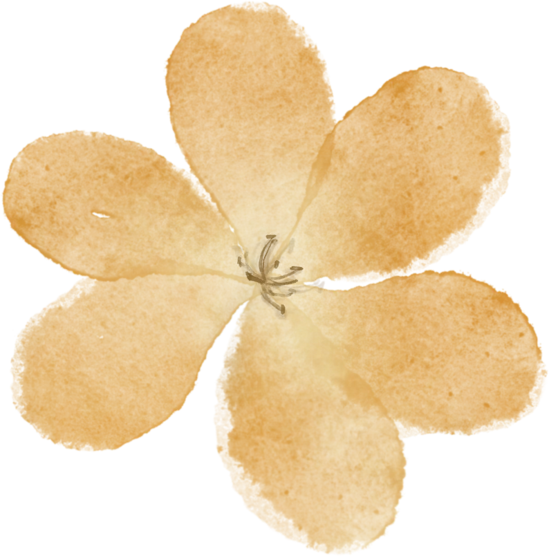 0b52a87557a037c82d5da6beaca47907-sz_834454