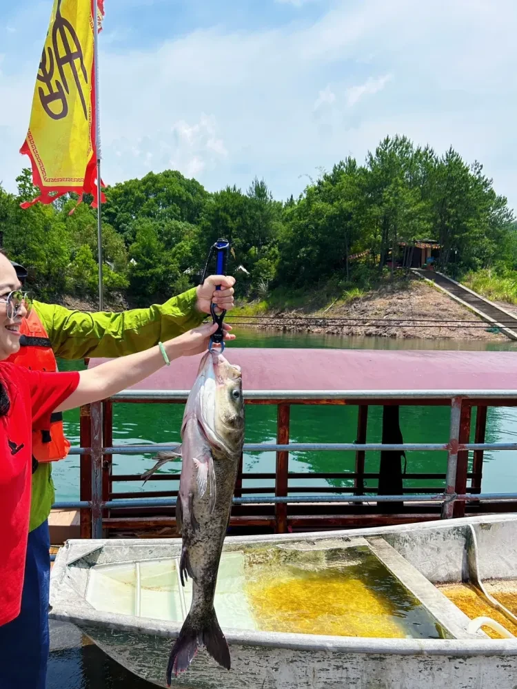 0b5557ef328064a748567d8abdea1e07-sz_3227458