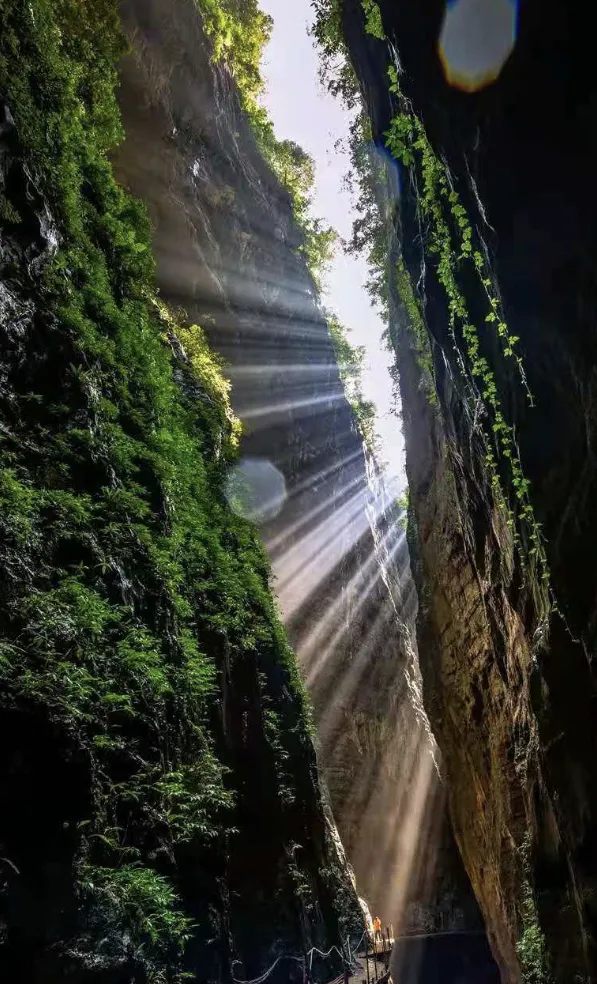 0b6c77aa596fcb5692dcb25f214d3cb3-sz_1238203