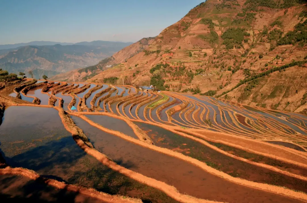 0b8b47bfe00d3ff50521a4a79f8d23b0-sz_4387914-1