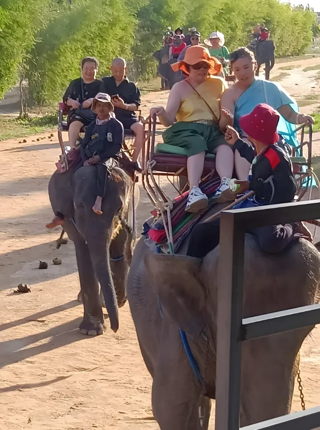 0bc9117a04803e53ec687c0d541a75e8-sz_989911