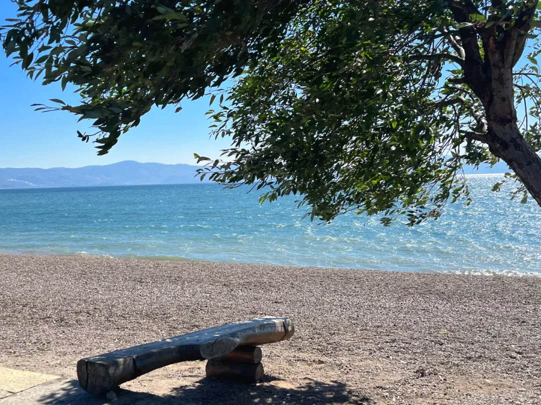 0bec6665831fd7f89c55636cf0e04455-sz_3569264 0bec6665831fd7f89c55636cf0e04455-sz_3569264