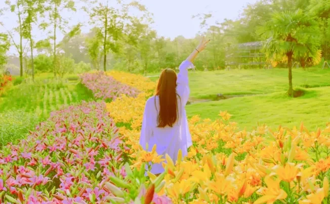 0c0408374367c0b60a2f2498daee1cf3-sz_790560 0c0408374367c0b60a2f2498daee1cf3-sz_790560