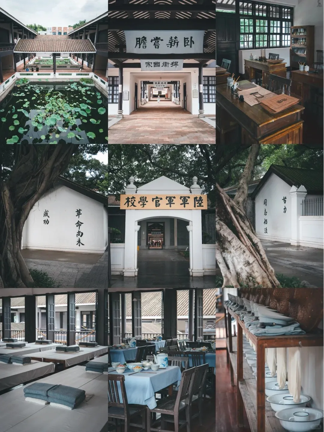 0c15205a5cbb5c5cb7215f779cf2c83f-sz_448888