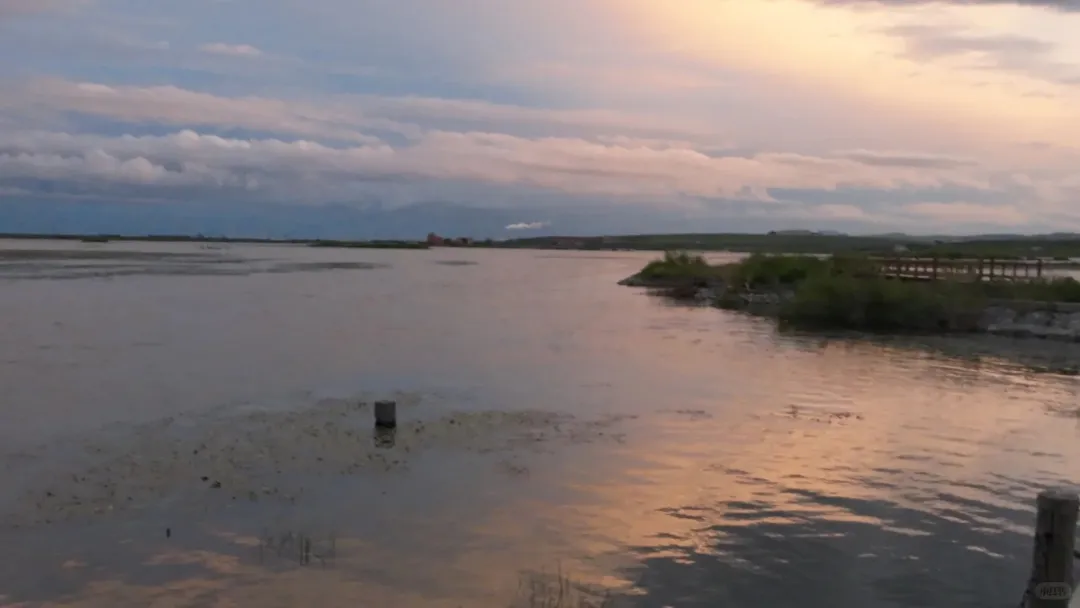 0c5aad5362cdef7bc342b6af153c5eef-sz_198632