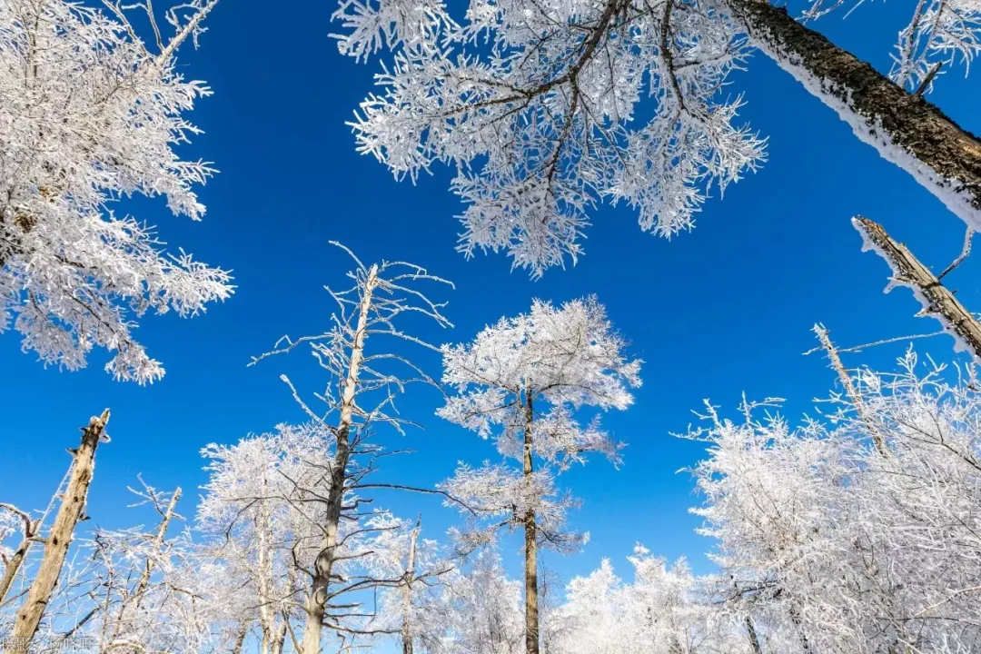 0c5e91136619cd5477fe874eb0b12b6e-sz_1071529 0c5e91136619cd5477fe874eb0b12b6e-sz_1071529