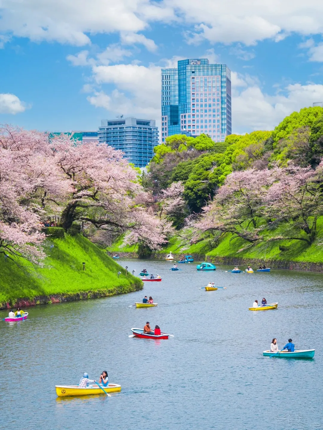 0c6fb06f71c962e0298fcb3c820f6d56-sz_565055