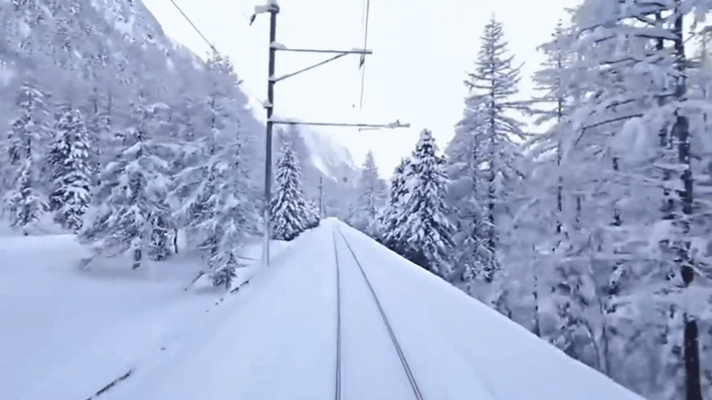 0c83eb9862c163d46dca46791a2220c1-sz_1792717 0c83eb9862c163d46dca46791a2220c1-sz_1792717