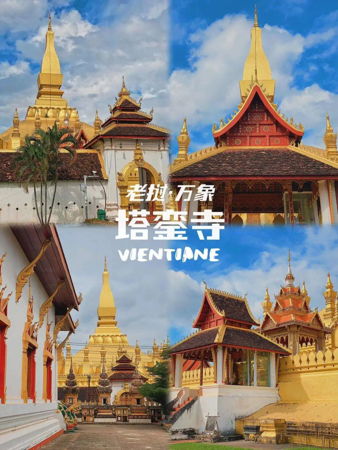 0c8c8fb5e3ea894e7c148b02e3cb6ed8-sz_269486 0c8c8fb5e3ea894e7c148b02e3cb6ed8-sz_269486