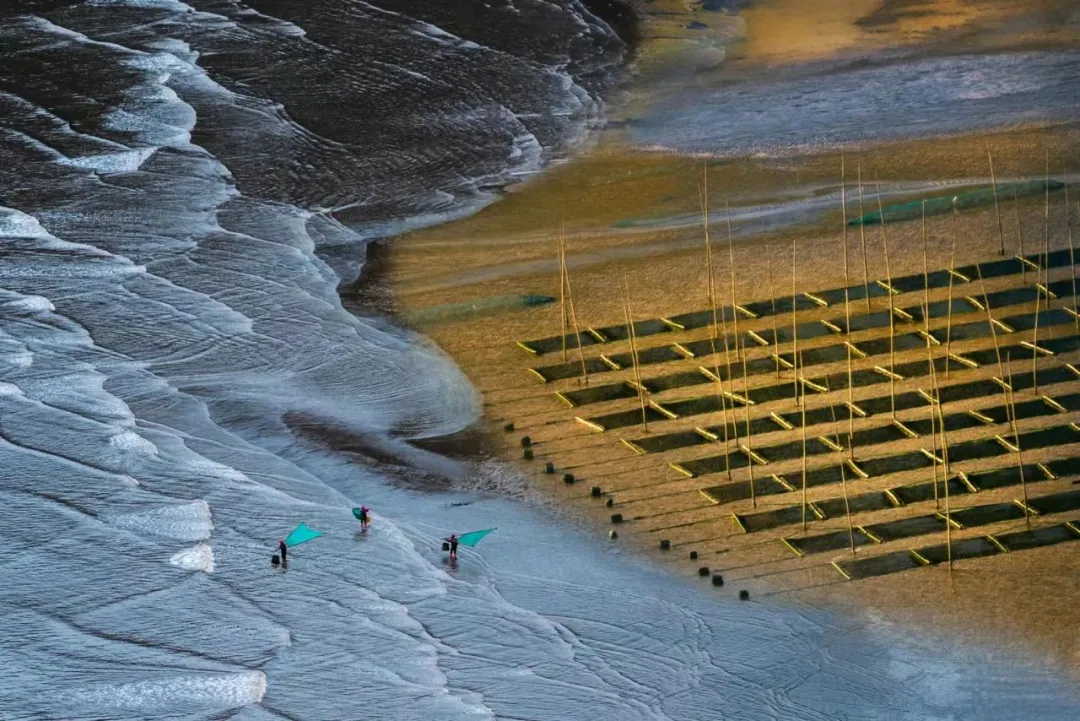 0caa2a569860973f5cd29984c8bc90c1-sz_245305-1