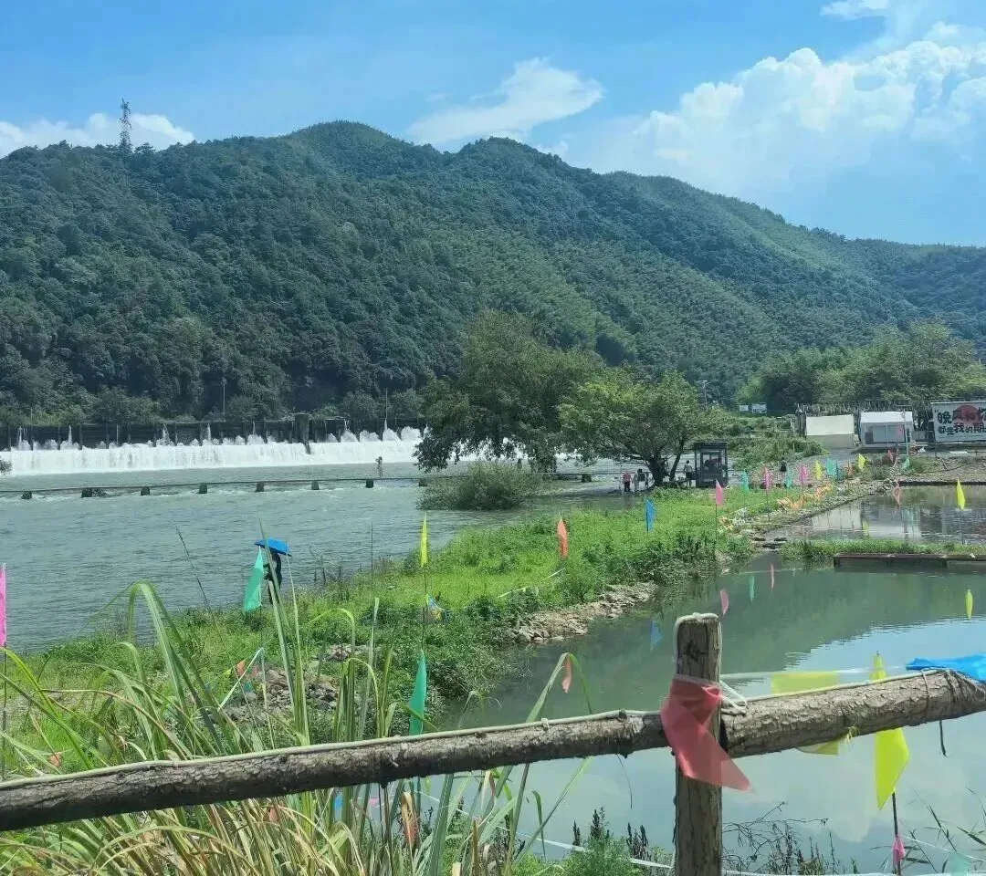 0ce028c7f5b3fdc64666c0337c99b956-sz_255895