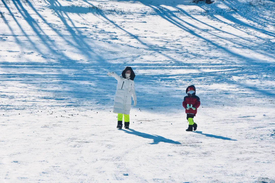 0ce6c434ba5b2826b7f0b5ab4c7567fe-sz_9995014 0ce6c434ba5b2826b7f0b5ab4c7567fe-sz_9995014