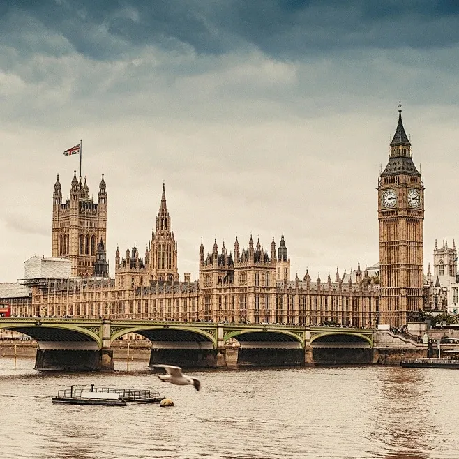 0ce89c369852295524181ef456b32792-sz_199893