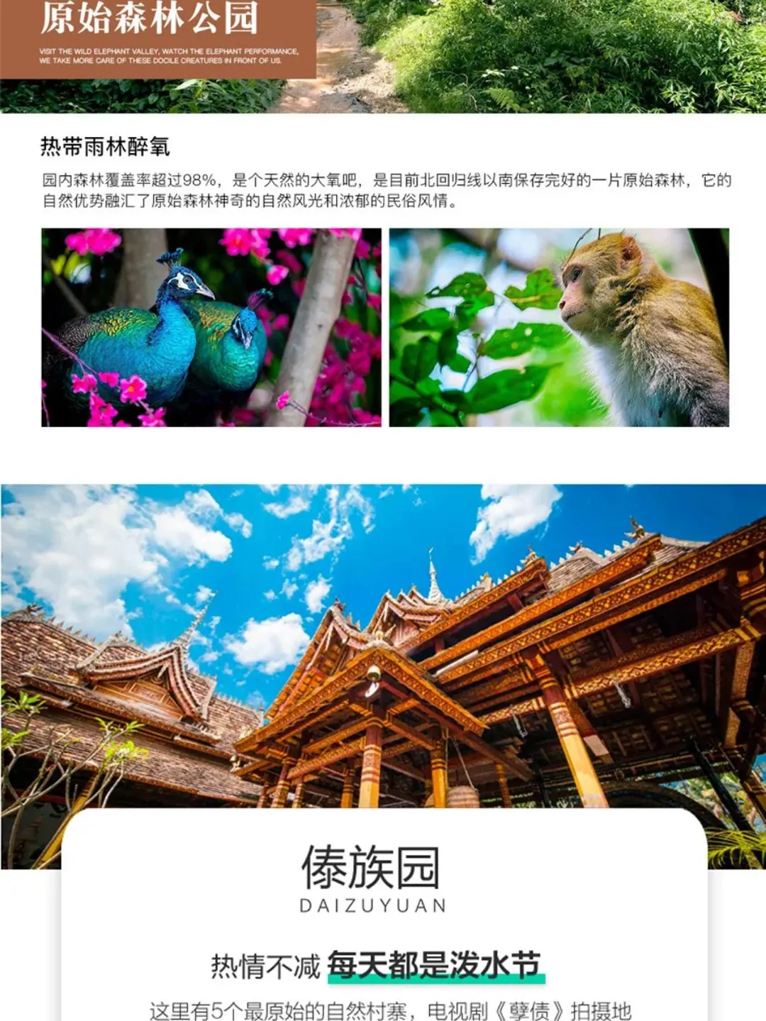 0cf255b086679360b6168f04f46ea1d4-sz_364610 0cf255b086679360b6168f04f46ea1d4-sz_364610