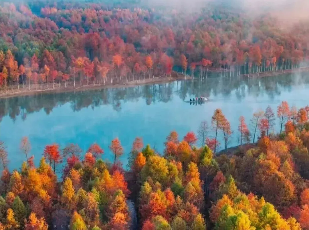 0d1801c757609b9a6c0373008793a3ac-sz_128416