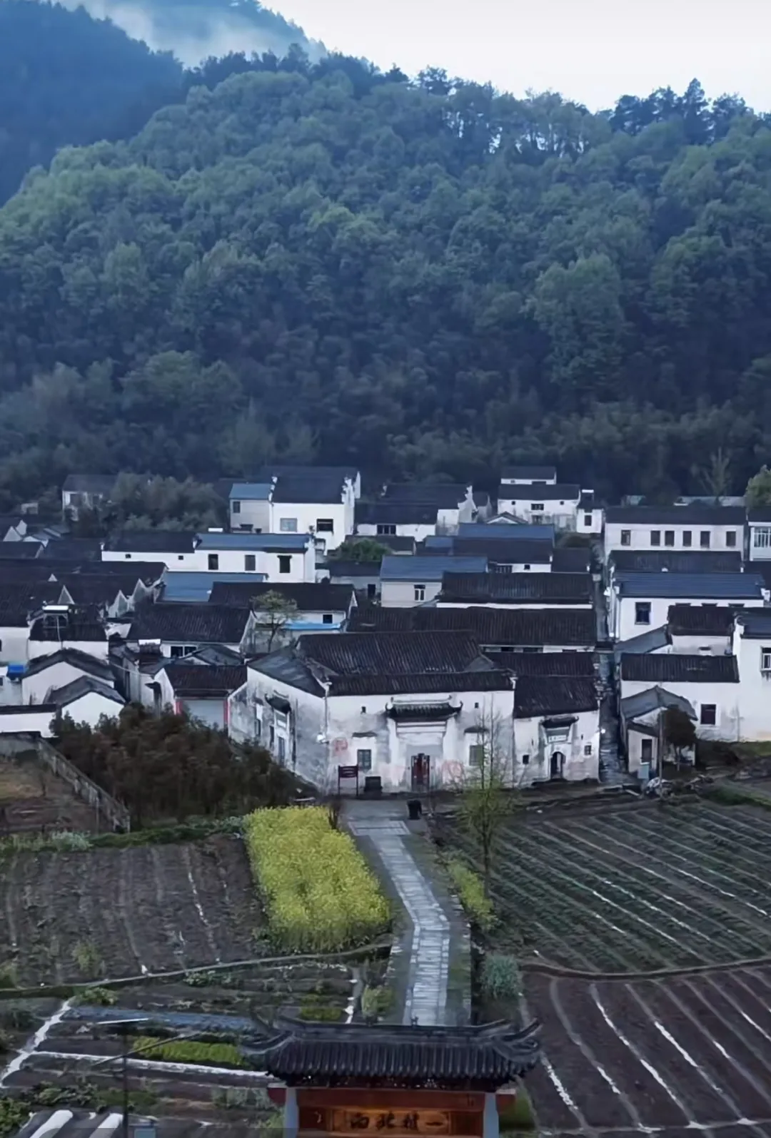 0d1907c24d0a957c96e93281e005eed4-sz_1345605-2