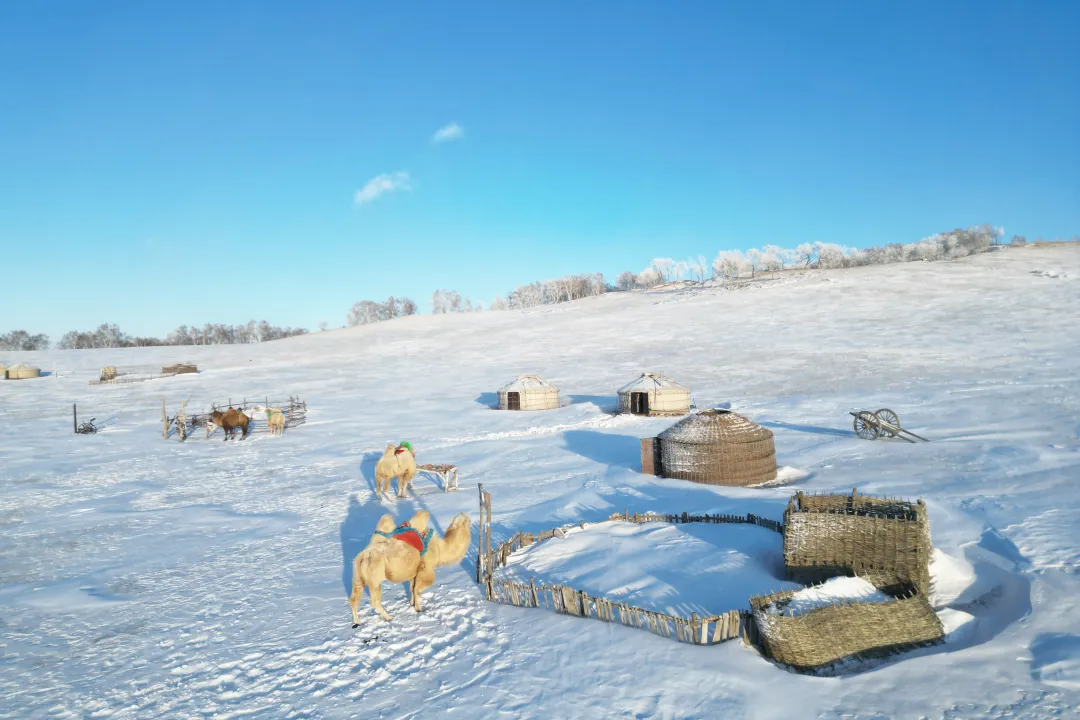 0d1a2280ee3d6812db76359480e4337c-sz_4678215 0d1a2280ee3d6812db76359480e4337c-sz_4678215