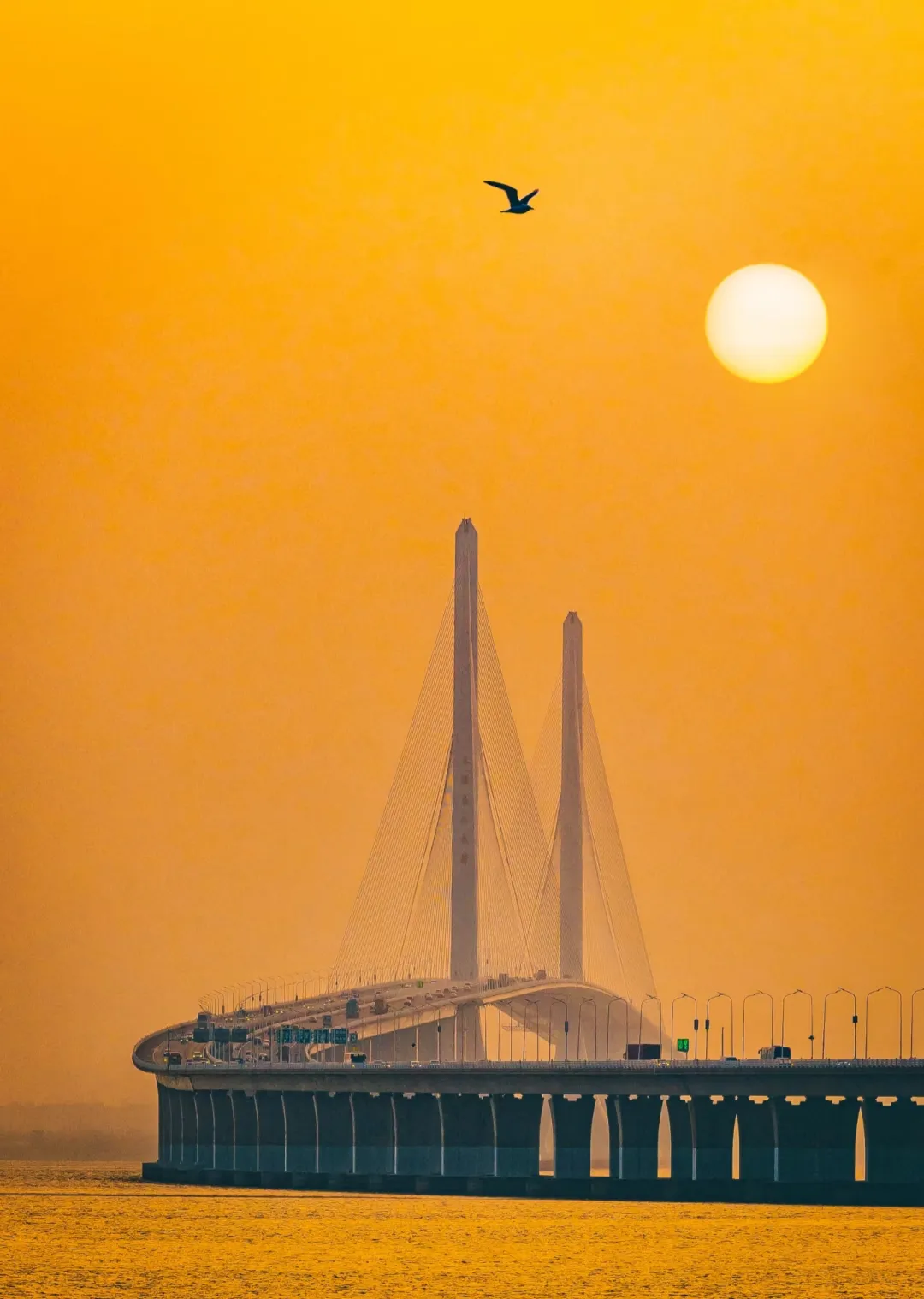 0d3a33fafa7ff55d3bea5f37222ed24e-sz_1425268