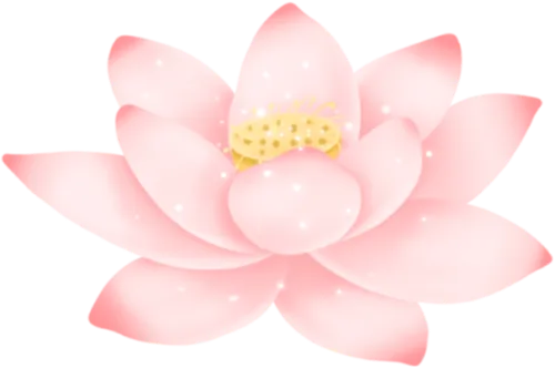 0d5f4356bd03d36ed77f9c06bf721774_sz-96524-1