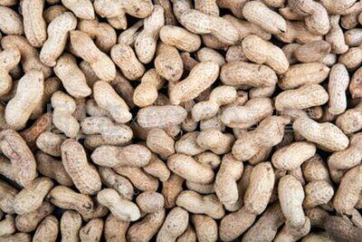 0d621bb6cf8aab3b75f4e9682de8f3fb-sz_37848