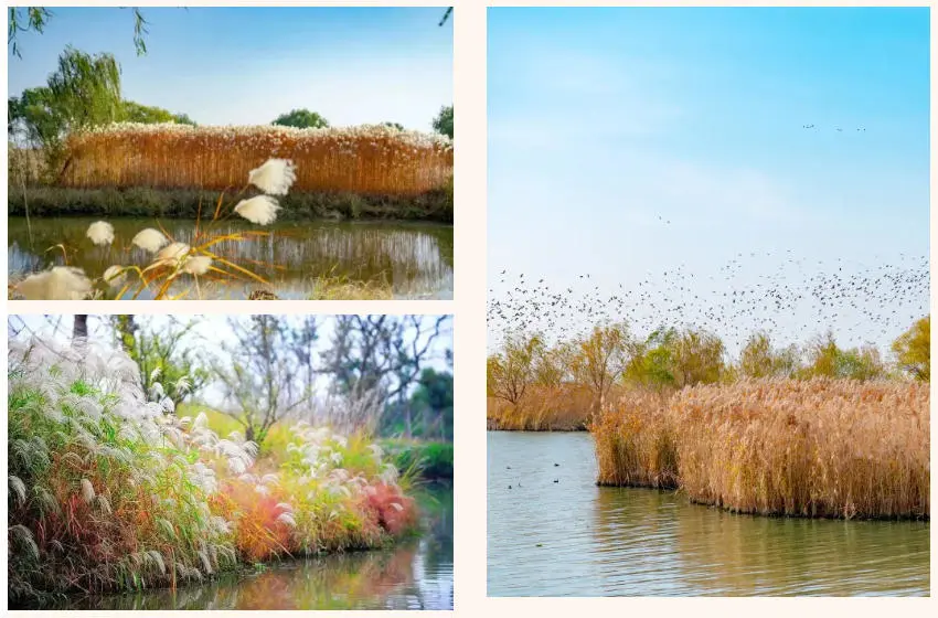 0d6275e5e2683052f1e6e9248b40f40f-sz_106187 0d6275e5e2683052f1e6e9248b40f40f-sz_106187