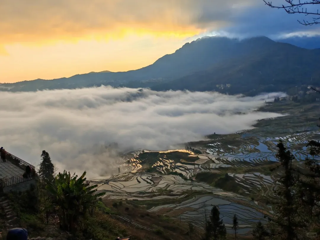 0d66ae85198f64b55d1947a7eee00169-sz_297212 0d66ae85198f64b55d1947a7eee00169-sz_297212