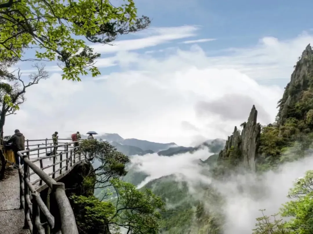 0d7558ea76623d60943480edc7eccb81-sz_251708-1