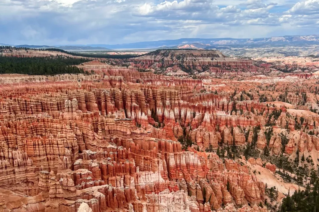 0d7d728bd05f22217666f194c5401316-sz_3004412 0d7d728bd05f22217666f194c5401316-sz_3004412