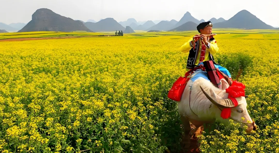 0d8030359ce51cebb862318037ae2eaa-sz_830960