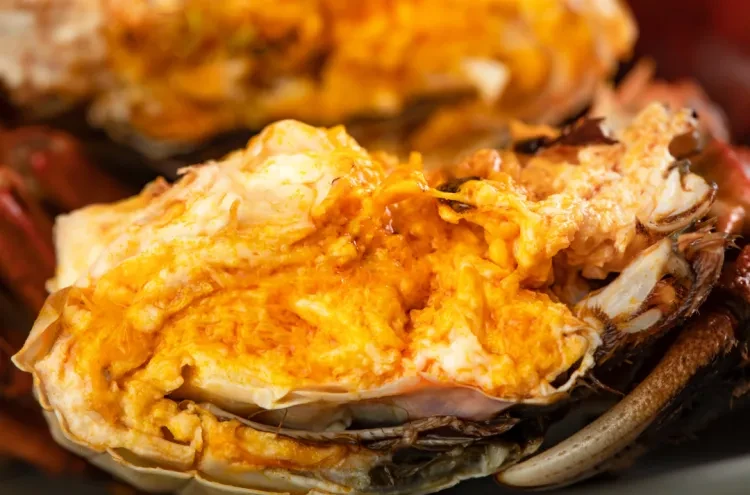 0d8cb2b954cccf90d55935336f3d96c4-sz_1178652