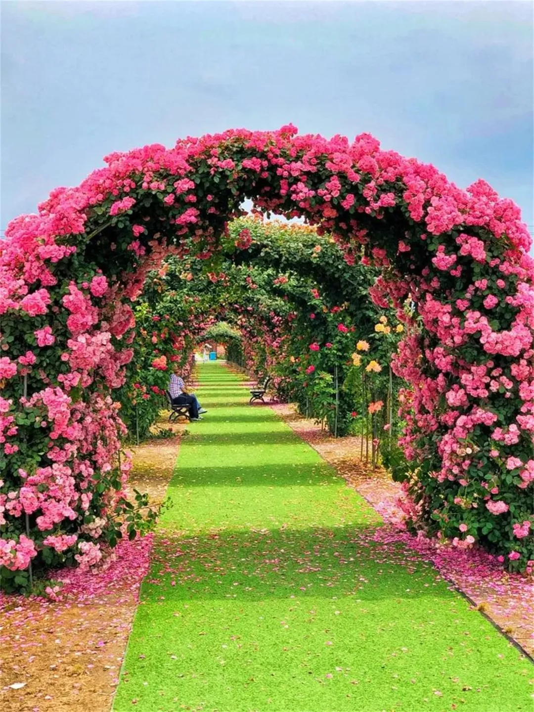 0daa9796b3c42d1981b3d3481c09d8e3-sz_1168495 0daa9796b3c42d1981b3d3481c09d8e3-sz_1168495