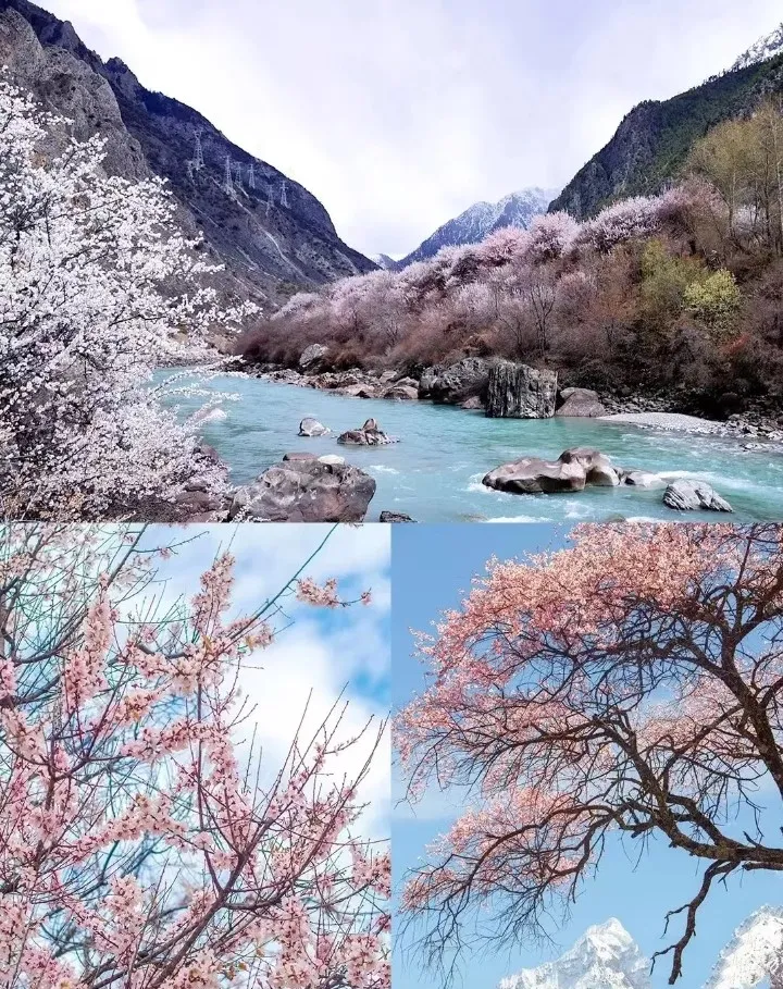 0dce67d5b1f1feb10936570336174fa0-sz_309120 0dce67d5b1f1feb10936570336174fa0-sz_309120